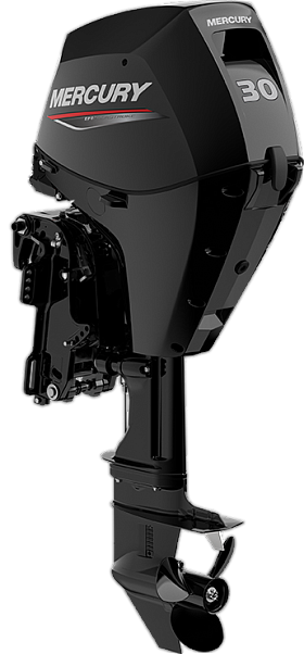 Mercury F 30 ELPT EFI