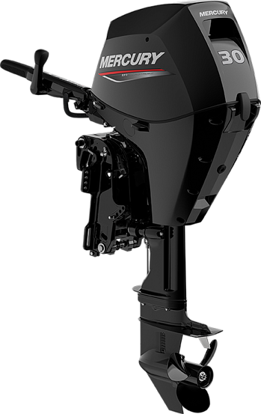 Mercury F 30 MH GA EFI